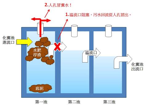 化糞池位置蓋哪最好|請問一個化糞池的問題